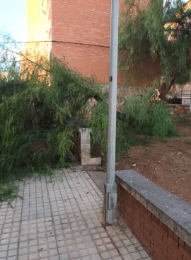 Abandó municipal