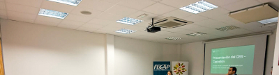 CEEI Castelln y FECAP culminan el programa de crecimiento empresarial en el Alto Palancia y Mijares con 8 empresas participantes