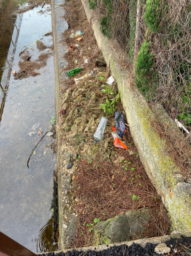 El govern de Carrasco abandona als veïns i veïnes del Camí la Ratlla en seguir sense netejar la sèquia i no combatre la plaga de mosquits