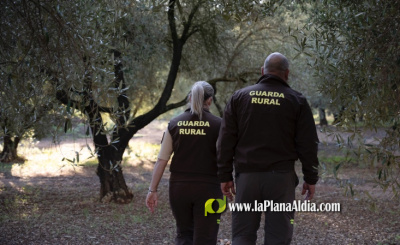 La Diputación de Castellón apuesta por la seguridad en el campo con la concesión de ayudas destinadas a 15 municipios para la contratación de guardas rurales