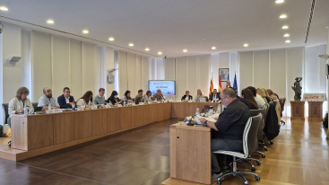 El Pleno de Vila-real se une por el cáncer de mama y por el acceso a los servicios de orientación jurídica