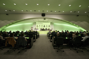 Fotografia /Galeria/2025/11/251815_162447/2_M1.jpg