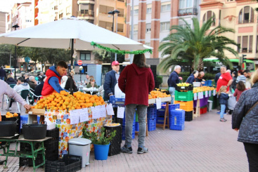 Celebrada la Asamblea del Mercado de la Naranja en Castelln