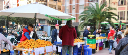 Celebrada la Asamblea del Mercado de la Naranja en Castelln