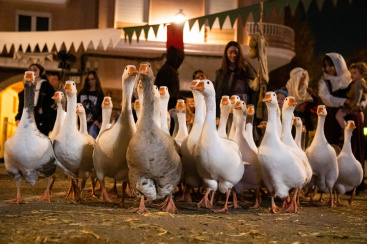 Fotografia /Galeria/2025/11/252065_162631/3_M1.jpg