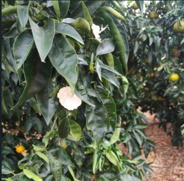 Fotografia /Galeria/2025/11/252112_162666/3_M1.jpg