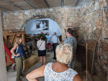 Fotografia /Galeria/2025/11/252348_162854/3_M1.jpg