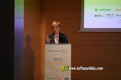 Marin Cano defiende que el sector agroalimentario valenciano representa tradicin y modernizacin y sostiene el desarrollo regional