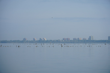 Confederacin Hidrogrfica del Jcar cede excedentes hdricos al Parque Natural de l'Albufera