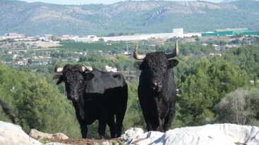 Fotografia /Galeria/2025/11/252440_162916/2_M1.jpg