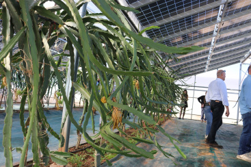 Fotografia /Galeria/2025/11/252719_163133/3_M1.jpg