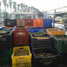 Fotografia /Galeria/2025/11/252961_163321/4_M1.jpg