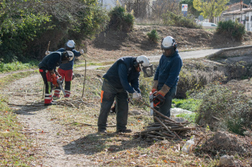 Trabajos de desbroza forestal en el lecho del barranco del Hostal Nou en Morella
