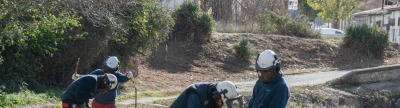 Treballs de desbrossa forestal al llit del barranc de l'Hostal Nou a Morella