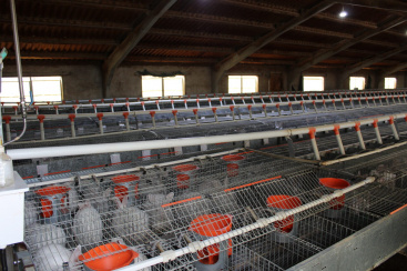 La Uni denuncia la eliminacin de ayudas a las explotaciones de cra de conejos