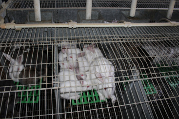 Fotografia /Galeria/2025/11/253137_163486/2_M1.jpg