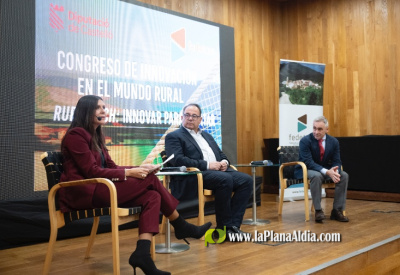 Fotografia /Galeria/2025/11/253353_163642/2_M1.jpg