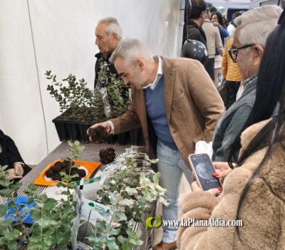 Barrachina valora los jvenes y nuevos agricultores que apuestan por la agricultura en el Alto Palancia