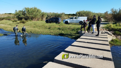 El Consorcio del Mijares colabora con la Universitat Jaume I en un estudio pionero sobre la presencia de contaminantes emergentes en la fauna del ro