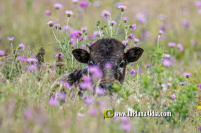 Fotografia /Galeria/2025/12/253472_163746/5_M1.jpg