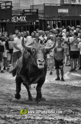 Fotografia /Galeria/2025/12/253472_163746/6_M1.jpg