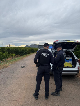 Fotografia /Galeria/2025/12/253491_163758/2_M1.jpg