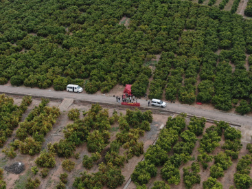 Fotografia /Galeria/2025/12/253491_163758/3_M1.jpg