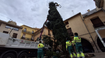 Vila-real instala un rbol de Navidad de 12 metros en la plaza de la Vila