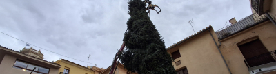 Vila-real instala un árbol de Navidad de 12 metros en la plaza de la Vila