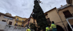 Vila-real instala un rbol de Navidad de 12 metros en la plaza de la Vila