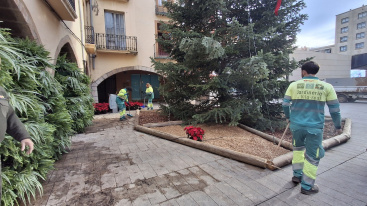 Fotografia /Galeria/2025/12/253509_163771/4_M1.jpg