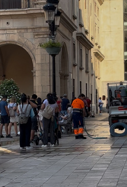 El PSPV de Castell reclama habilitar la sede electrnica para cambios de padrn y descongestionar el Registro General