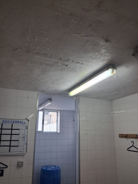 Fotografia /Galeria/2025/12/253589_163831/2_M1.jpg