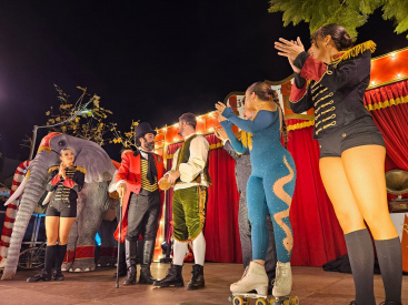 Fotografia /Galeria/2025/12/253612_163855/2_M1.jpg