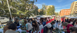 almassora-celebra-la-fira-de-comer-de-nadal-con-talleres-musica-y-propuestas-para-toda-la-familia
