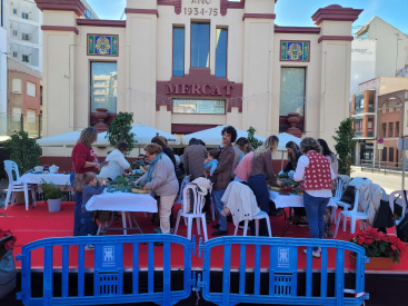 Fotografia /Galeria/2025/12/253625_163862/3_M1.jpg