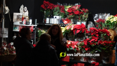 Fotografia /Galeria/2025/12/253646_163876/4_M1.jpg