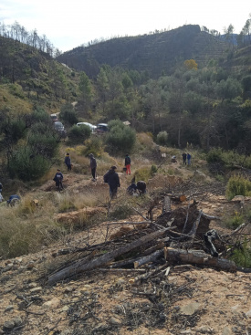 Montn activa la Brigada Verde para recuperar su entorno natural bajo el programa EMERGE 2025