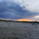 Fotografia /Galeria/2025/12/253733_163940/2_M1.jpg