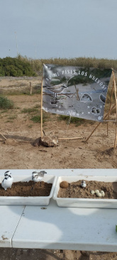 Fotografia /Galeria/2025/12/253733_163940/4_M1.jpg