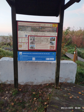 Almassora renueva la sealizacin del Sendero Azul del Millars para mejorar la experiencia de senderistas