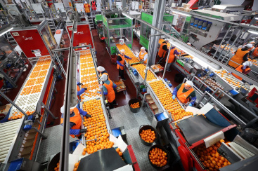 Fotografia /Galeria/2025/12/253898_164058/5_M1.jpg