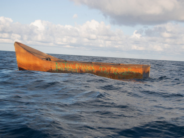 Fotografia /Galeria/2025/12/253931_164080/3_M1.jpg