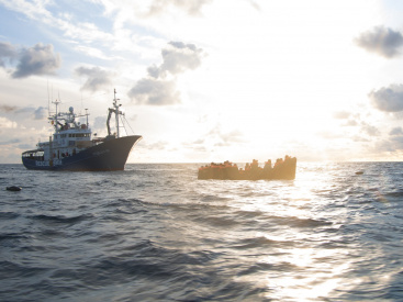 Fotografia /Galeria/2025/12/253931_164080/5_M1.jpg