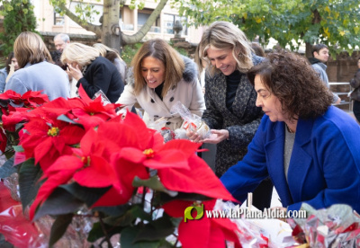 Fotografia /Galeria/2025/12/253937_164086/3_M1.jpg