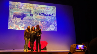 Vila-real conmemora el 650.� aniversario del Bou con exposici�n y Gala Taurina