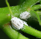 Fotografia /Galeria/2025/12/254026_164152/2_M1.jpg