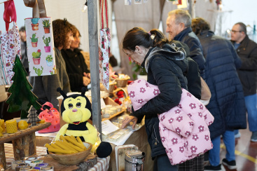 Fotografia /Galeria/2025/12/254031_164157/2_M1.jpg