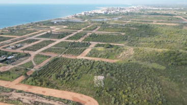 Tres empreses opten a la licitaci� per a la gesti� i finalitzaci� del PAI Sant Gregori de Burriana