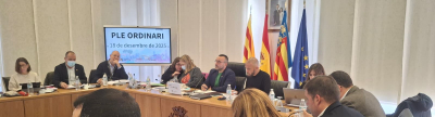 Vila-real concede la Medalla de la Ciudad en grado honor a José Vicente Tomás y la Medalla de Oro a Mediterráneo, Vidres, Grúas Tomás, Sucesores de Santiago Manzanet y al Hospital Universitario de la Plana